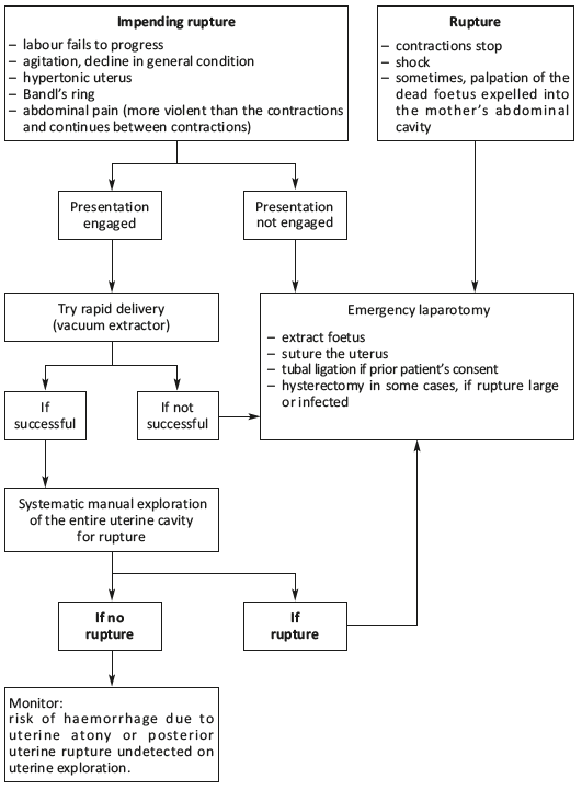 OLCreate: HEAT_LDC_ET_1.0 Labour and Delivery Care Module: 9. Obstructed  Labour: 9.3.2 Bandl's ring | OLCreate