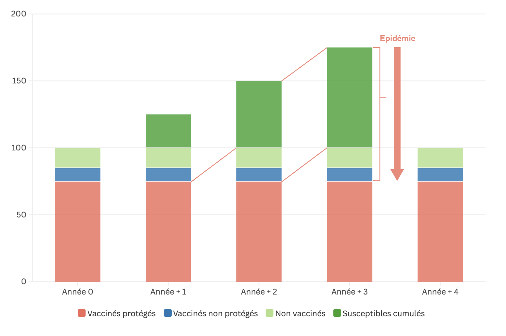 Figure 1.7 - Exemple de cumul des susceptibles sur plusieurs années
