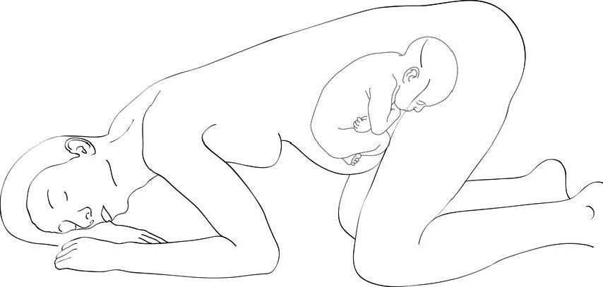 وضعية التَّجْبِيَّة (على الركبتين والصدر لأسفل)