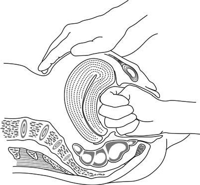 ضغط الرحم بين قبضة اليد واليد الأخرى الموضوعة على البطن